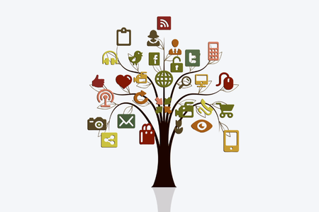Social Media Management